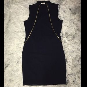 Double Gold Zipper Dress